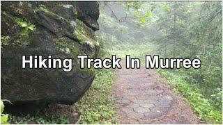 Murree Hiking Track | Jhika Gali Hiking Track to GPO MallRoad and Kashmir Point