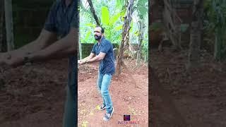 Dasettan Kozhikode Comedy  Videos