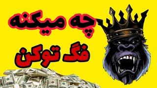 راه اندازی نسخه بتا صرافی فگ اکس /شروع یک پامپ از فگ توکن؟