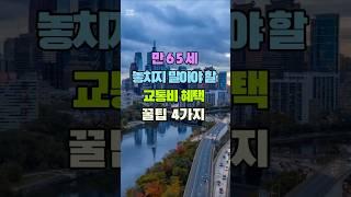 만65세 놓치지 말아야 할 교통비 혜택 꿀팁4가지#65세이상혜택 #교통비무료 #시니어복지 #노인교통카드 #정부지원정책 #버스무료이용