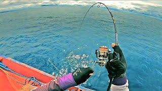 Test joran viral  Iroly betta melengkung tajam | Mancing ultralight jigging