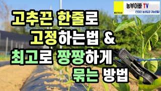 고추끈 최고로 짱짱하게 묶는 방법과 한줄만 띄워 고정하는 방법