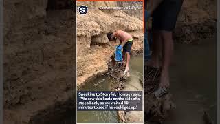 Two Aussies Climb Steep Slope to Rescue Koala Stranded on Riverbank