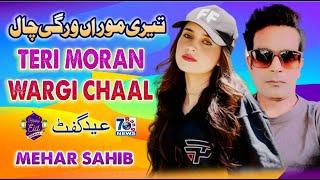 Punjabi Song 2024 | Teri Moran Wargi Chaal | Mehar Sahib | Latest Punjabi Saraiki Songs
