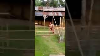 assam new viral video northeast 2021 