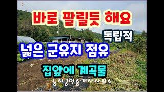 (횡성전원주택) 군유지와 계곡물 독립적이고 자유로운 전원생활 새말IC15안거리 1억2800만원