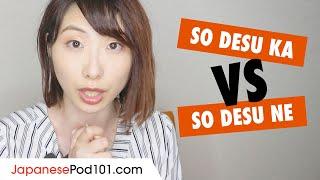 What's the difference between "So Desu Ka" and "So Desu Ne"? - Japanese Grammar