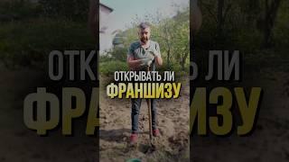 СТОИТ ЛИ ПОКУПАТЬ ФРАНШИЗУ В 2024М ? #бизнес #франшиза