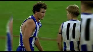 Wayne Carey - Career Highlights