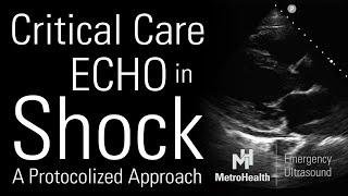 Critical Care Echocardiography in Shock