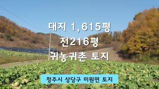 대지1,615평.전216평합1,831평.평당17만원.귀농귀촌토지.정남향.산밑토지