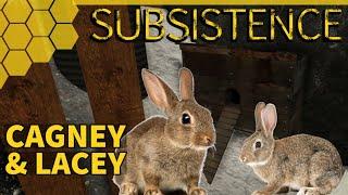 MEET CAGNEY & LACEY | SUBSISTENCE | S6 E43