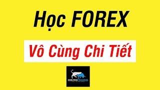 Learning Forex from A to Z for beginners (extremely detail)