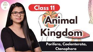 Class 11 || Animal Kingdom (Part 1)