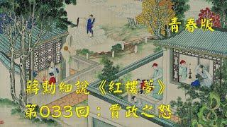 蒋勋细说红楼梦第033回：贾政之怒（青春版）