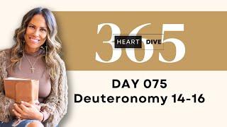 Day 075 Deuteronomy 14-16 | Daily One Year Bible Study | Audio Bible Reading with Commentary