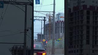 Обзор ЖК Самары: Король Лев