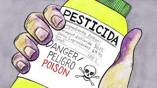 ¿Qué Son los Pesticidas?