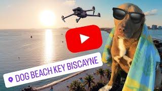 Best Florida Beaches: Rome the Pitbull @ Key Biscayne Dog Beach‼️CRYSTAL Clear Water, BEST DAY EVER!