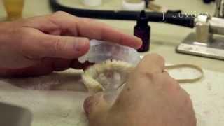 Application of Gingiva Flow - JUVORA Dental Disc