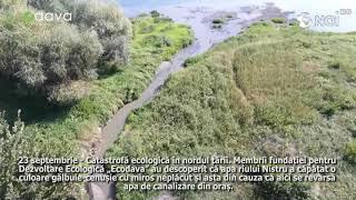 Cele mai importante știri care au marcat anul 2020