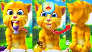 Talking Ginger Funny Videos  | talking tom | talking ginger | tom |