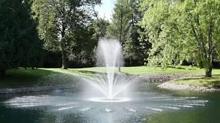 Airmax® PondSeries® 2 HP Fountain - Crown & Trumpet Spray Pattern