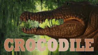 CROCODILE [2000] - Movie Tribute