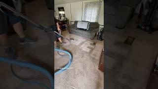 Carpet cleaning in Columbus, GA #jetstreamclean #jetstreamclean #jetstreamclean