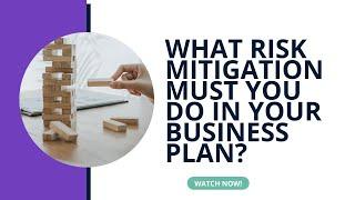 What risk mitigation must you do in your business plan?