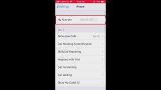 How to find your phone NUMBER on iPhone