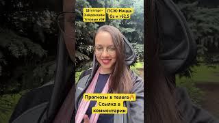 ПСЖ Ницца прогноз. Штутгарт Хайденхайм прогноз. Прогнозы на футбол сегодня