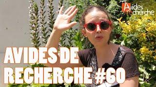 Sommes-nous de bons écocitoyens ? - Avides de recherche #60