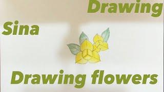 How to draw the flower of RomDuol and paintings2