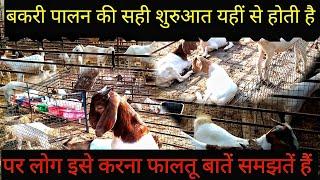 Goat farming business plan || Goat farming Knowledge || Goat farming