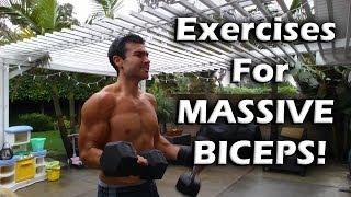 Exercises for MASSIVE BICEPS