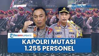 Kapolri Mutasi Besar-besaran 1.255 Personel: 10 Kapolda Digeser hingga 10 Polwan Jadi Kapolres