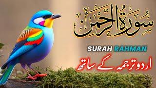 SURAH RAHMAN TARJUMA KE SATH QARI AL SHAIKH ABDUL BASIT ABDUL SAMAD | SURAH AL RAHMAN | EPI - 306