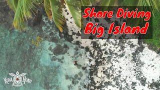 Big Island Zhore Diving - Mile Marker 4 Dive Site | Kona Honu Divers