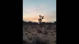 A hike through Joshua Tree National Park. #joshuatreenationalpark @joshuatreenps #dispersedcamping #