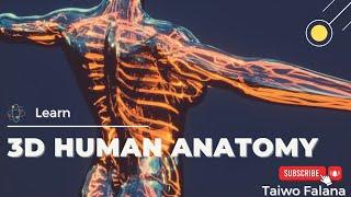 3D Human Anatomy _ Human Biological Systems (By Taiwo Falana)viralvideo  #3d  #Anatomy #facts