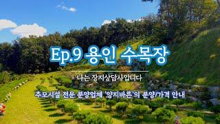 Ep.9 용인 수목장ㅣ사찰 수목장ㅣ분양 상담 및 가격 안내_박혜수 실장 010 8807 8011