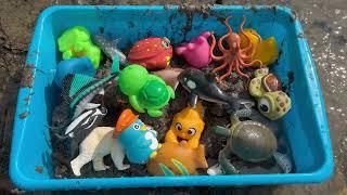 Splish-Splash Cleaning: Washing Muddy Sea Animal Toys