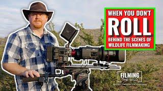 When You Don't Roll | Behind The Scenes of Wildlife Filmmaking