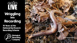 Wriggling Into Recording: 10 Years of the National Earthworm Recording Scheme