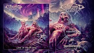 CUTTERRED FLESH (Czech Republic) - Amanda (Brutal Death Metal) Transcending Obscurity Records