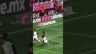 Golazo de escorpión