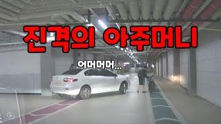 도참시 블랙박스 :그냥 구D기..... 2025 최신블박영상