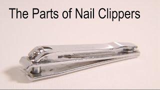 The Parts of Nail Clippers