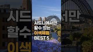 '시드니'는 크다! 인터파크다️ 시드니에서만 즐길 수 있는 이색체험 BEST5 는?